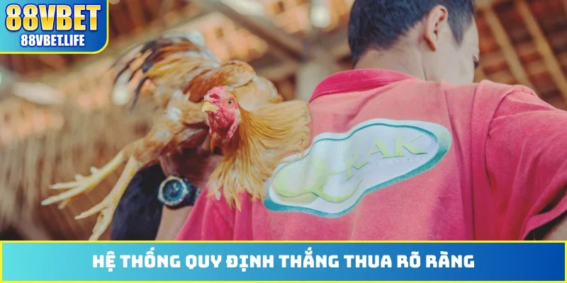 Đá Gà 88VBET - Phát Sóng Hơn 100 Trận Đấu Từ Thomo Hôm Nay - ZO99.MOBI